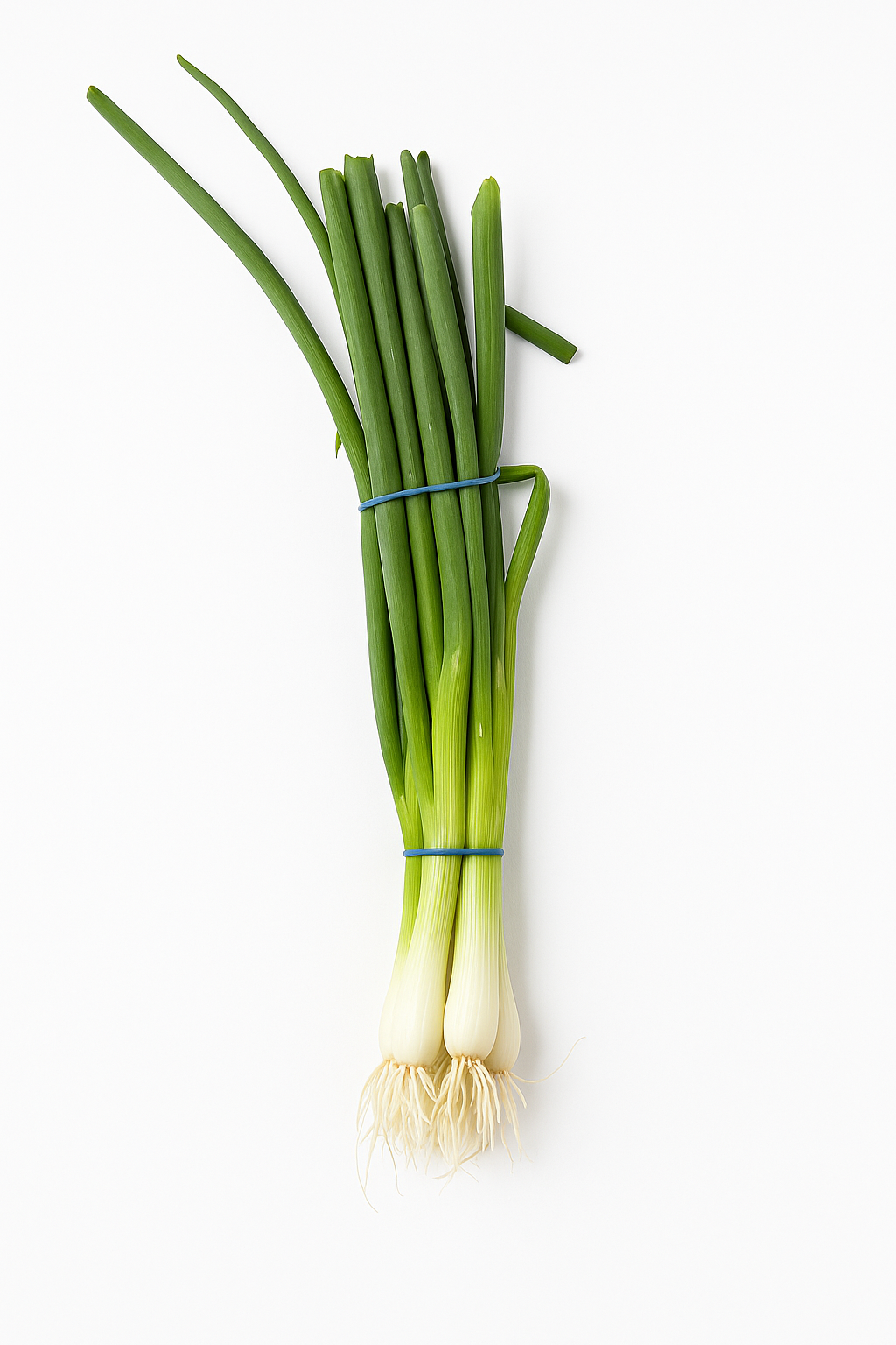 Green Onion 青葱(1把)