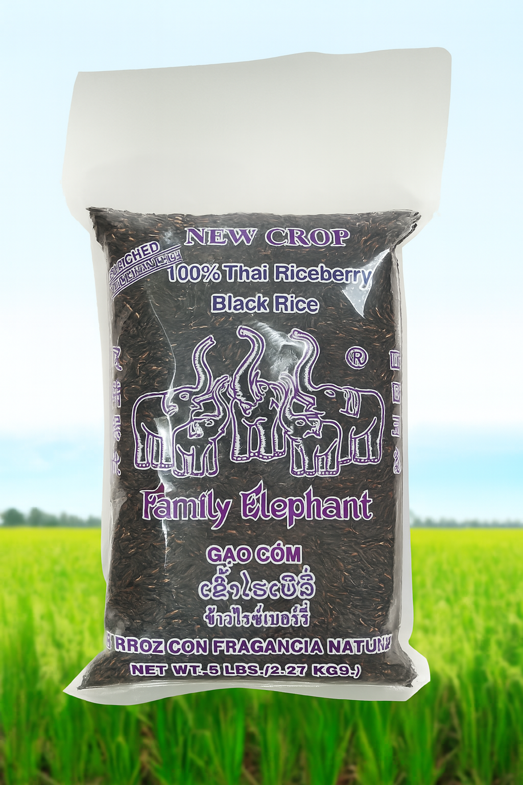 100% Thai RiceBerry Black Rice 5 LBS. (2.27KG) 100% 泰国黑米 5 磅 (2.27 公斤)