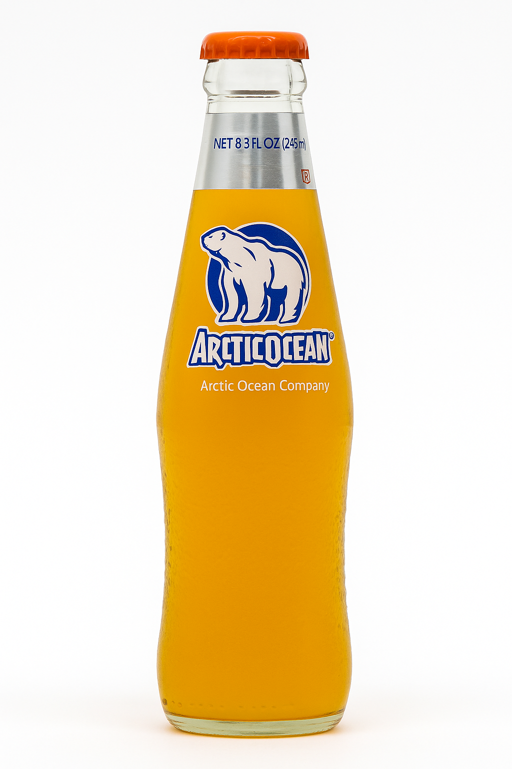 Arctic Ocean  248mL 北冰洋
